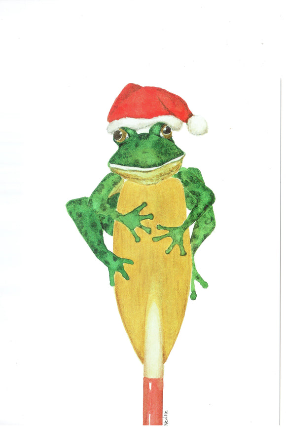 Rowing Frog Christmas Cards, by Barbara Neville, available from Rubini Jewelers